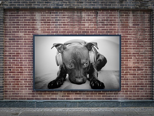 f2299d42de0d97790e94d88295c52ba0